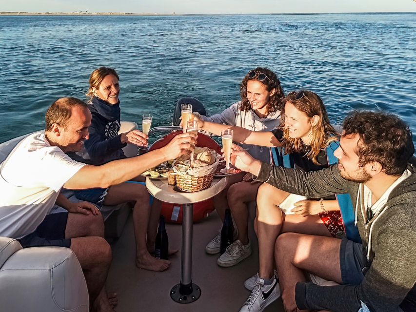 Faro: Ria Formosa Faro Islands Boat Tour - Wildlife watching depends on timing