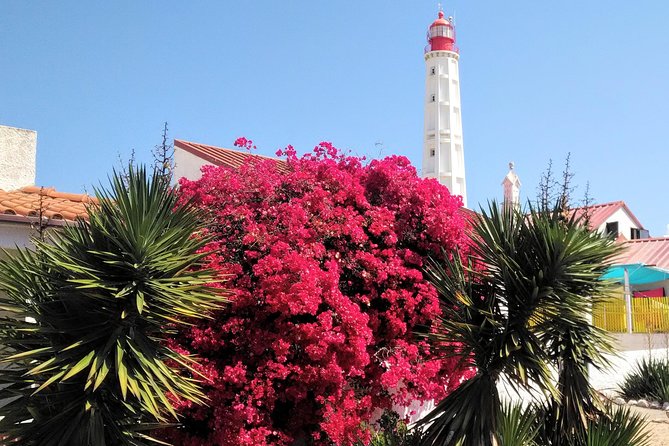 Faro - Ria Formosa tour with visit to 2 islands (Deserta, Farol) 3.5 hours - What three and a half hours really gives you