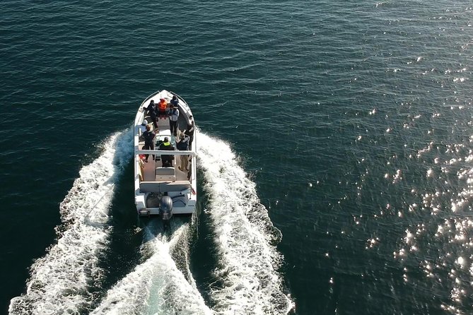 Faro - Ria Formosa tour with visit to 2 islands (Deserta, Farol) 3.5 hours - Weather, cancellation, and what to plan for