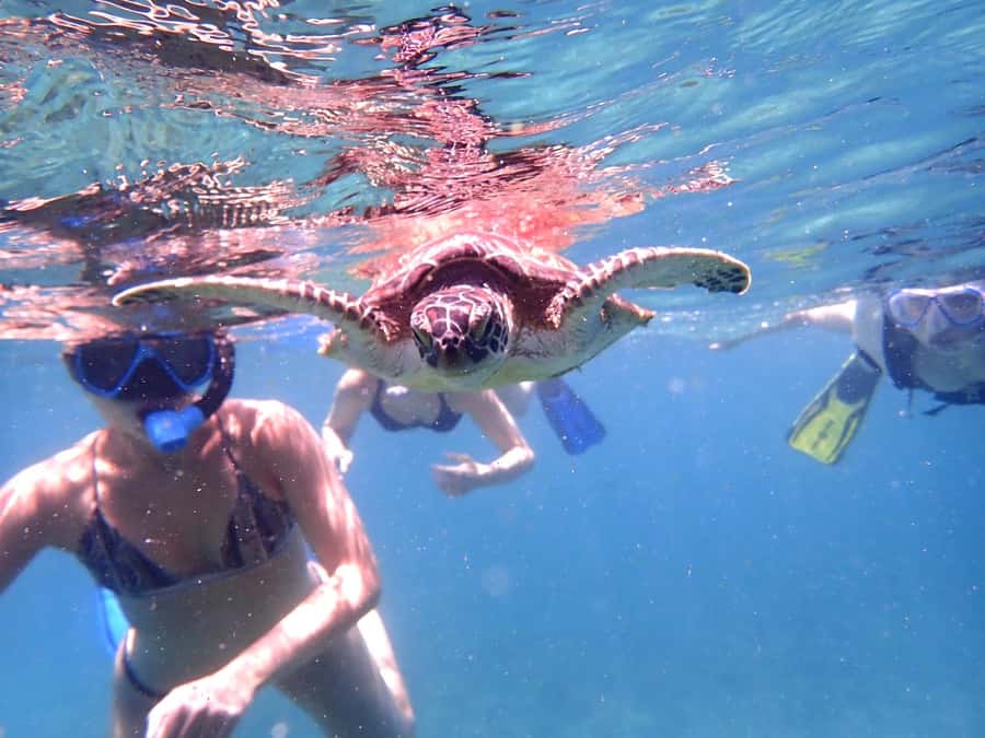 From Al-Seeb: Dimaniyat Islands Boat Trip with Snorkeling - A proper break before the second water stop