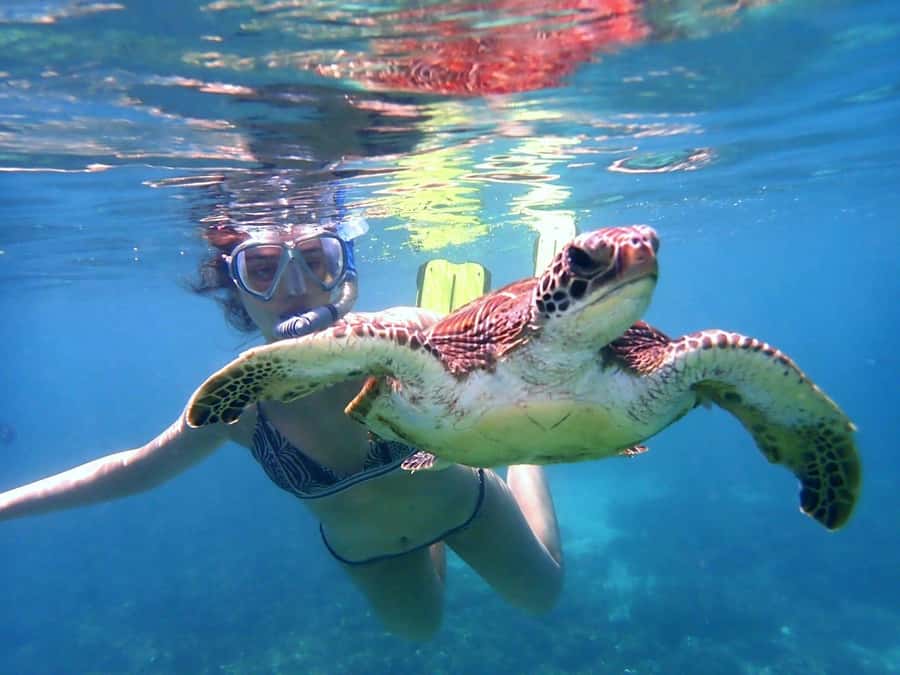 From Al-Seeb: Dimaniyat Islands Boat Trip with Snorkeling - Guides who help without taking over