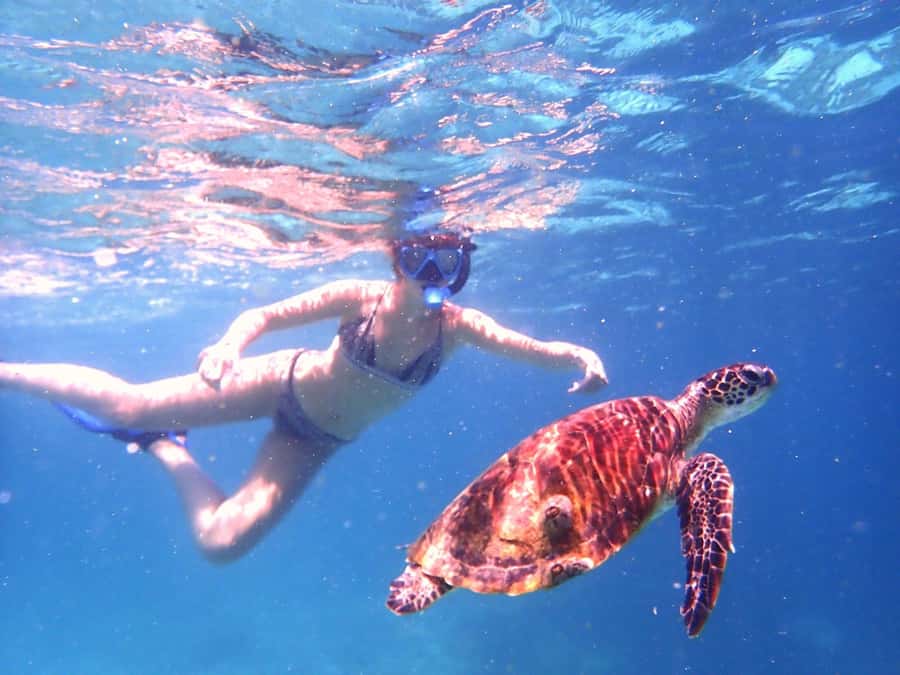From Al-Seeb: Dimaniyat Islands Boat Trip with Snorkeling - Who should book this trip