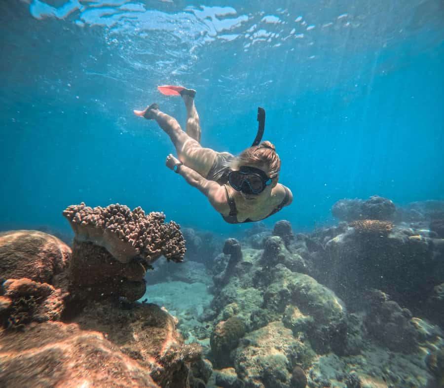 From Cairns: 2 Islands 1 day - Fitzroy & Green Islands - Two Great Barrier Reef islands in one organized day