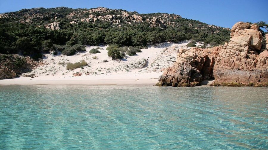 From Cannigione: Catamaran tour in La Maddalena Archipelago - Swimming in clear water, with practical limits