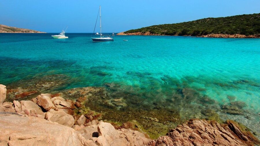 From Cannigione: Catamaran tour in La Maddalena Archipelago - A Sardinian lunch served on board