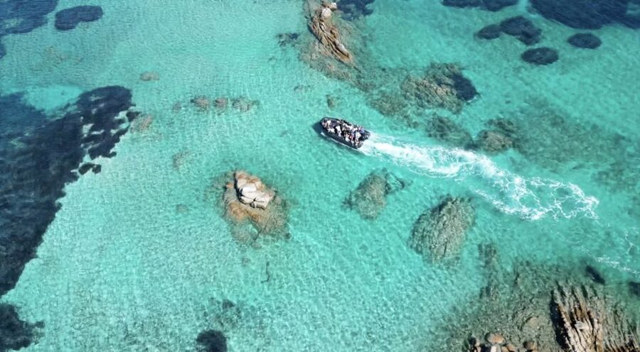 From Cannigione: La Maddalena Archipelago Boat Trip - Key points to know before booking