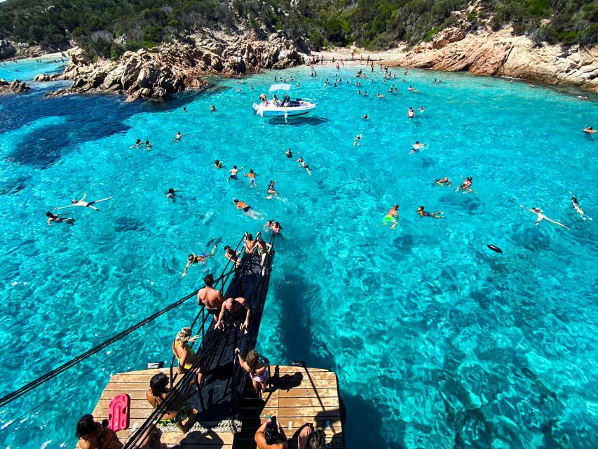 From Cannigione: La Maddalena Archipelago Boat Trip - Choosing between the main boat and the zodiac options
