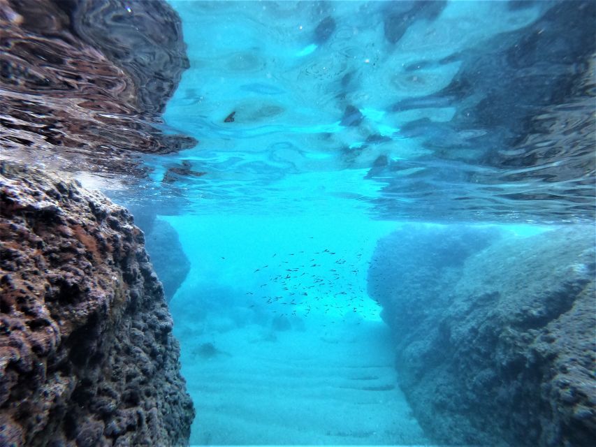 From Dubrovnik: 4-hour Elafiti Islands Private Boat Tour - Cliff jumping, snorkeling, and building your own route