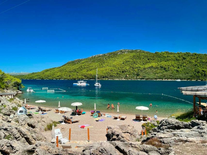 From Dubrovnik: Mljet National Park & Elaphiti Islands Trip - Odysseus Cave and the first serious swim
