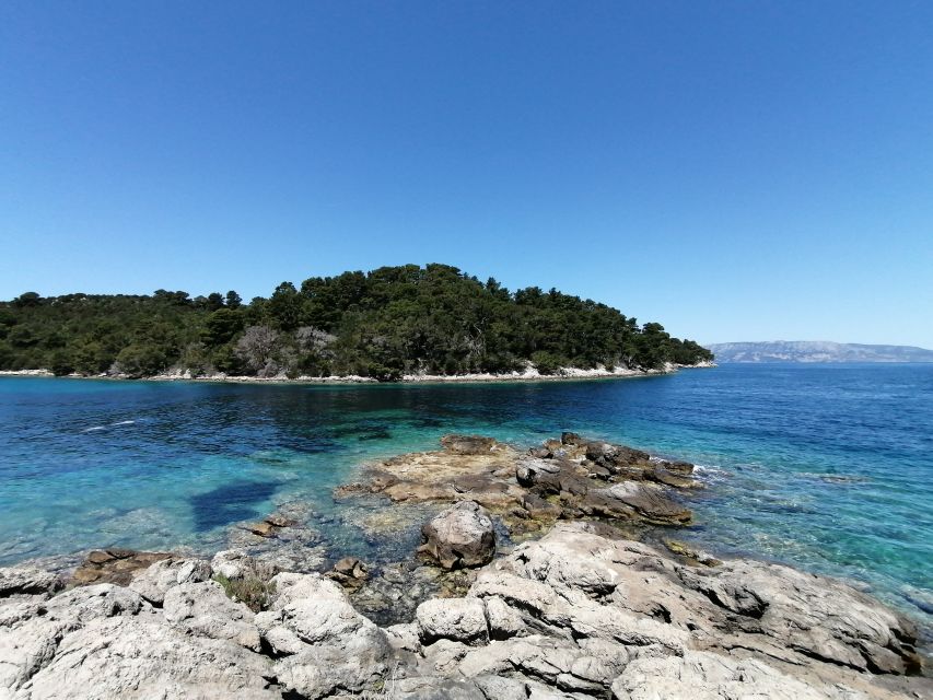 From Dubrovnik: Mljet National Park & Elaphiti Islands Trip - Three hours in Mljet National Park
