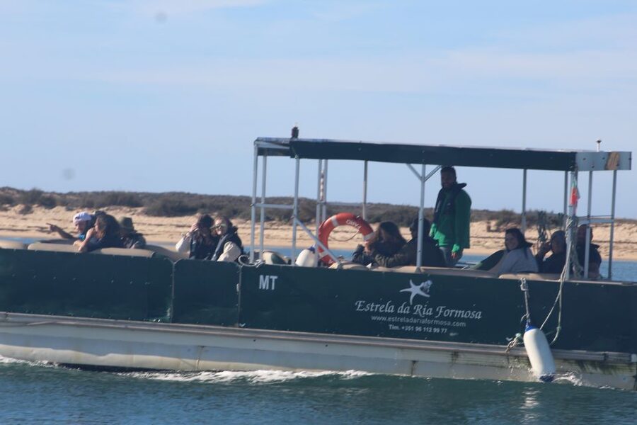 From Faro: 2-Island, 2-Stop Ria Formosa Catamaran Tour - Leaving Faro through Ria Formosa