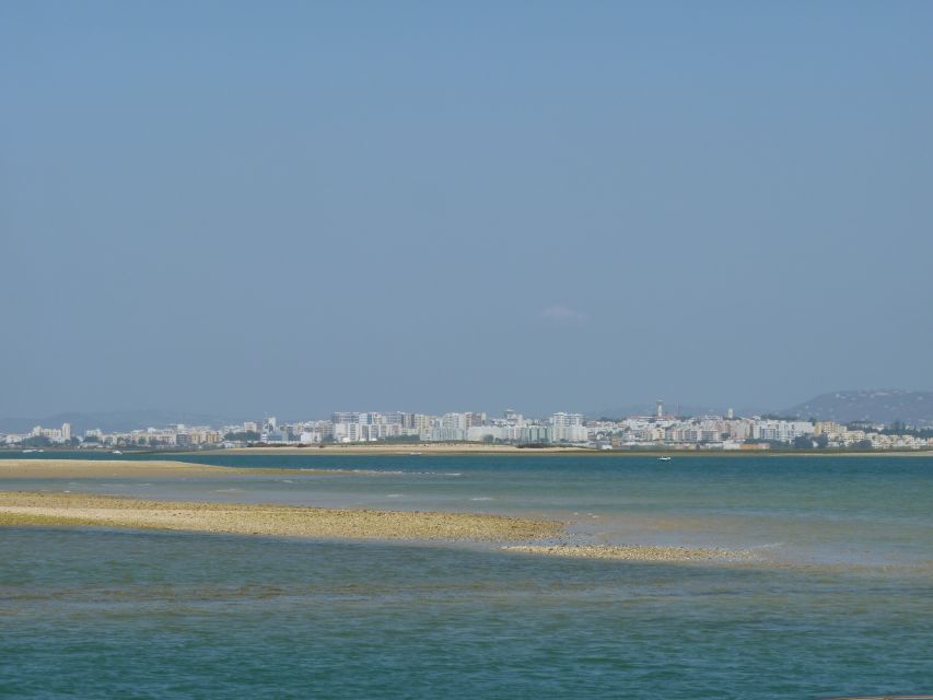From Faro: 2-Island, 2-Stop Ria Formosa Catamaran Tour - What the guide adds to the crossing