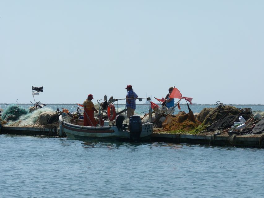 From Faro: 4 Stops, 3 Islands in Ria Formosa Catamaran Tour - What to bring and how to plan your day