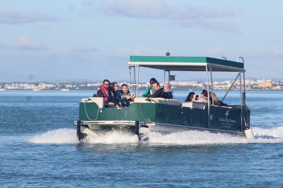 From Faro: 4 Stops, 3 Islands in Ria Formosa Catamaran Tour - Ilha do Farol and its familiar Algarve houses