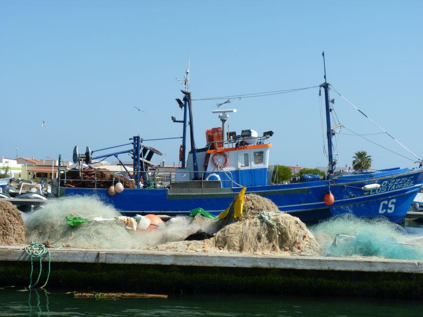 From Faro: 4 Stops, 3 Islands in Ria Formosa Catamaran Tour - Boat time, group feel, and physical demands
