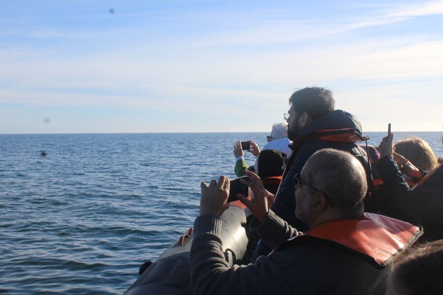 From Faro: Dolphin Watching & 2 Islands Tour - Searching for dolphins beyond Cabo de Santa Maria