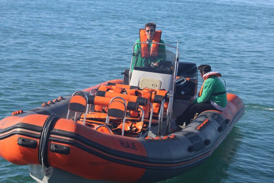 From Faro: Dolphin Watching & 2 Islands Tour - Ilha do Farol and its small lighthouse community