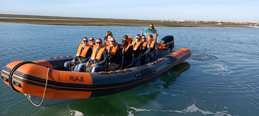 From Faro: Dolphin Watching & 2 Islands Tour - What the $70 price really covers