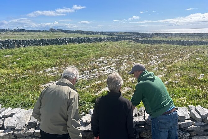 From Galway; Aran Islands Day Tour & Cliffs of Moher cruise - What the group size and guiding mean for you