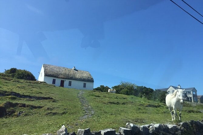 From Galway; Aran Islands Day Tour & Cliffs of Moher cruise - Who should book this Aran Islands tour?