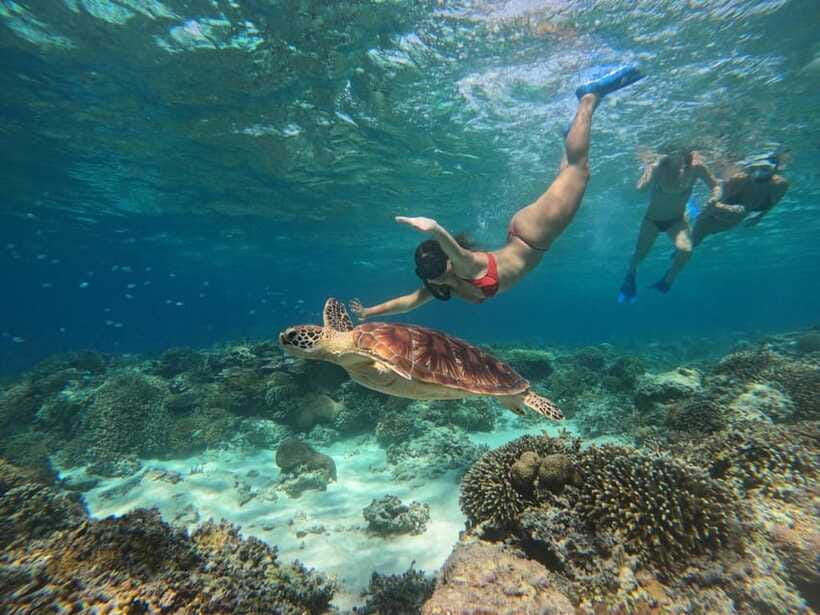 From Gili Air : 3 Islands Snorkeling Trip with Sea Turtles - Is the $14 price worth it?