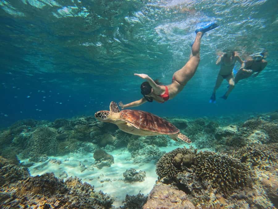 From Gili Air : 3 Islands Snorkeling Trip with Sea Turtles - The first reef near Gili Air