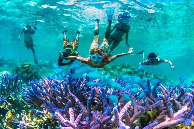 From Gili Trawangan: Island Hopping Snorkeling Trip - Key points at a glance