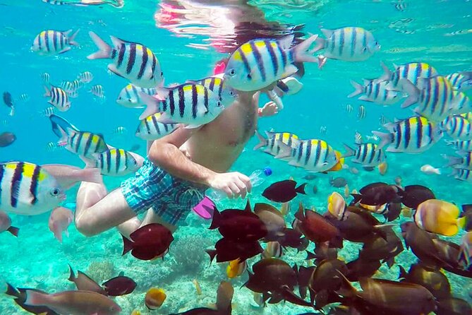 From Gili Trawangan: Island Hopping Snorkeling Trip - Setting out from Gili Trawangan