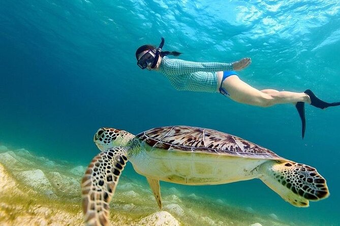 From Gili Trawangan: Island Hopping Snorkeling Trip - Underwater sculptures and a shipwreck