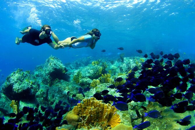 From Gili Trawangan: Island Hopping Snorkeling Trip - The glass-bottom boat makes the ride part of the trip