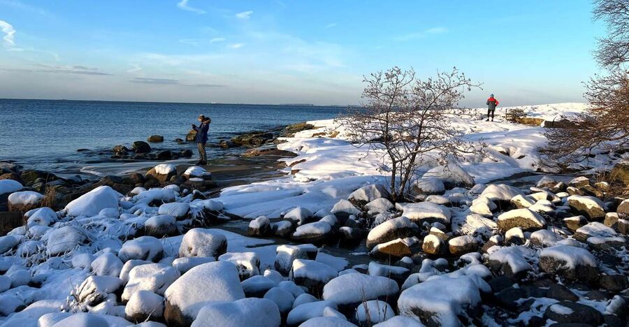 From Helsinki: Archipelago Excursion in Porkkalaniemi - Should you book the Porkkalaniemi excursion?
