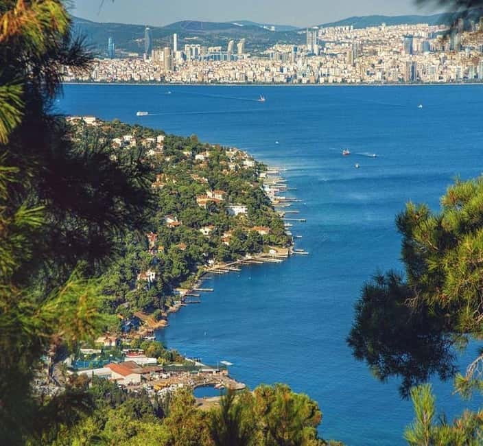 From Istanbul: Princes Island Tour with 2 Islands - Büyükada and its late Ottoman mansions