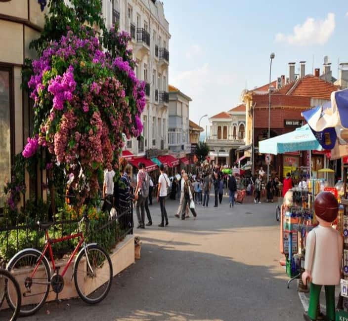 From Istanbul: Princes Island Tour with 2 Islands - The guide and group atmosphere