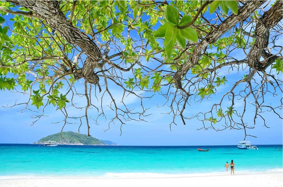 From Khao Lak: Similan Islands Day Trip with Snorkeling - The second snorkeling stop at Koh Payu