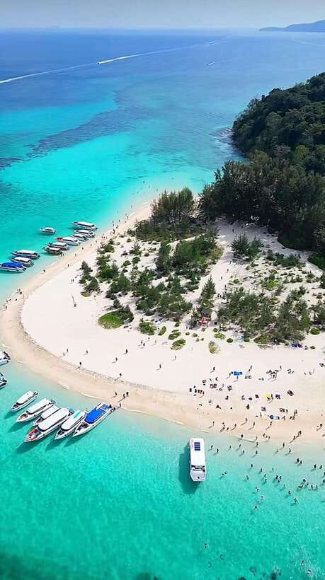 From Koh Phi Phi island and 7 Islands Long Tail Boat Trip - Shark Point and the first look below the surface
