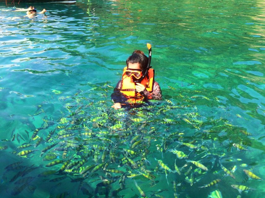 From Krabi: 4 Islands Snorkeling Tour by Speed Boat - What the $41 price really covers