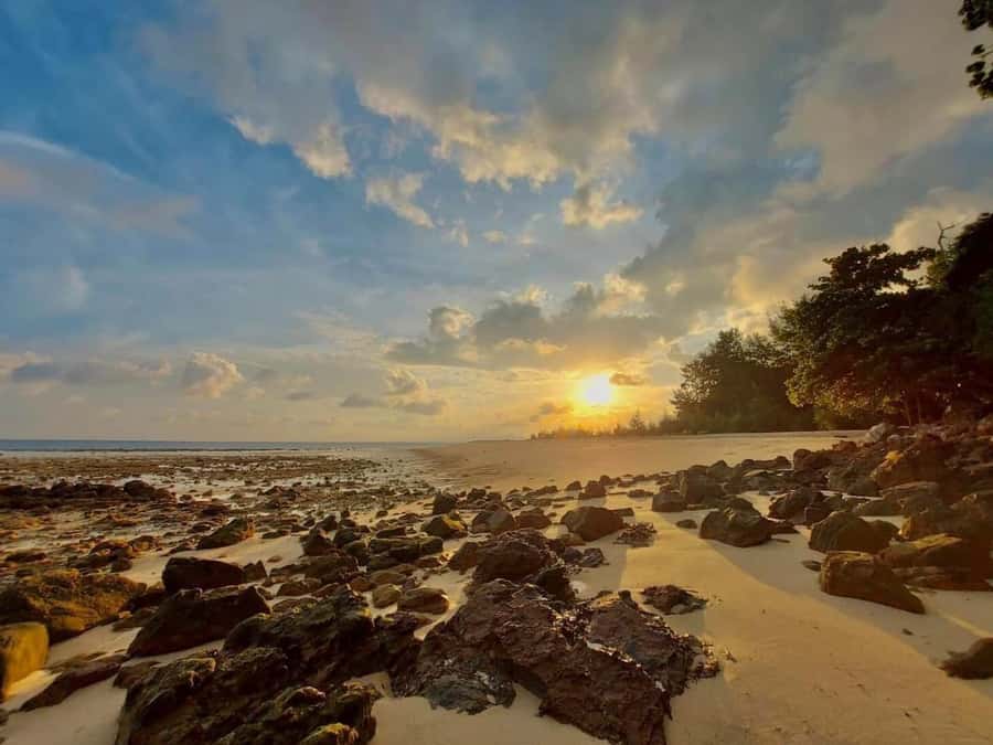From Krabi: Phi Phi Early Bird & 4 Islands by Speedboat - Why the early start matters at Maya Bay