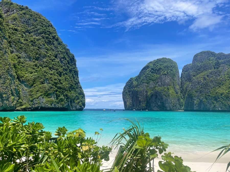 From Krabi: Phi Phi Early Bird & 4 Islands by Speedboat - Snorkeling, reef fish, and the possibility of small sharks