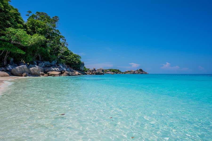 From Krabi: Similan Islands Day Trip by Speedboat - Transport details that deserve attention