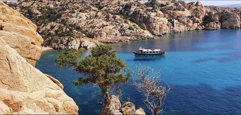 From La Maddalena or Palau: Archipelago Boat Tour - Budelli and Santa Maria bring the most famous scenery