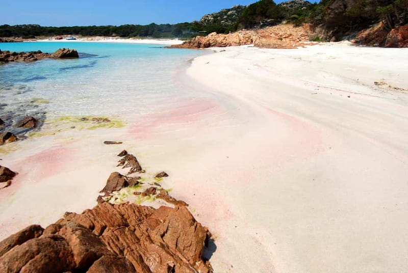 From La Maddalena or Palau: Archipelago Boat Tour - What the $106 price really includes