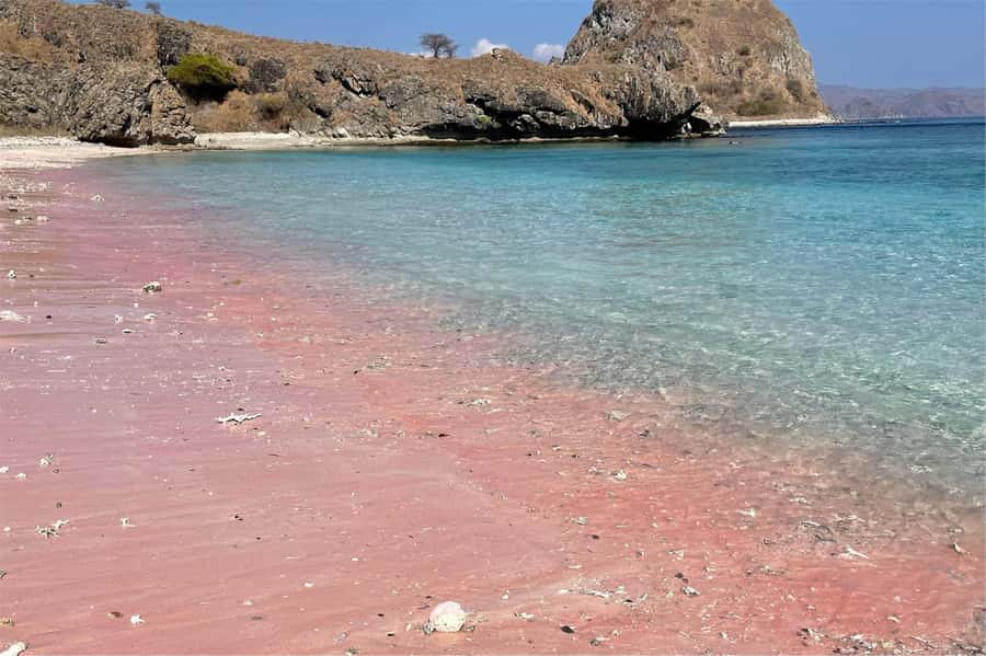 From Labuan Bajo: Komodo Dragons and Island Hop with All Fee - Starting at the Labuan Bajo harbor