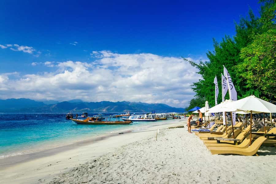 From Lombok: Private Gili Islands Trip w. Glass-Bottom Boat - Who will enjoy this trip most