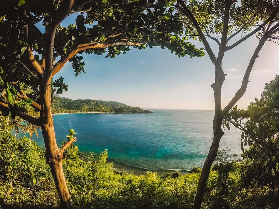 From Lombok: Private Gili Islands Trip w. Glass-Bottom Boat - The final hilltop view over Lombok