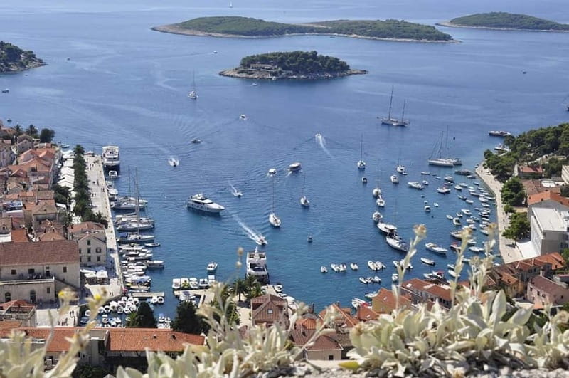 From Milna or Supetar: Magical Blue Cave Island Hopping - Key points to know before booking