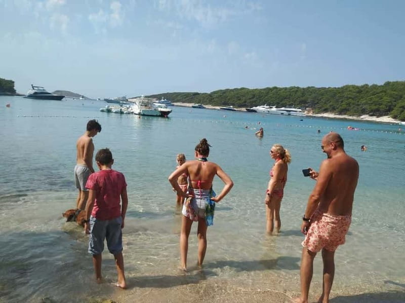 From Milna or Supetar: Magical Blue Cave Island Hopping - Price and what the $158 covers