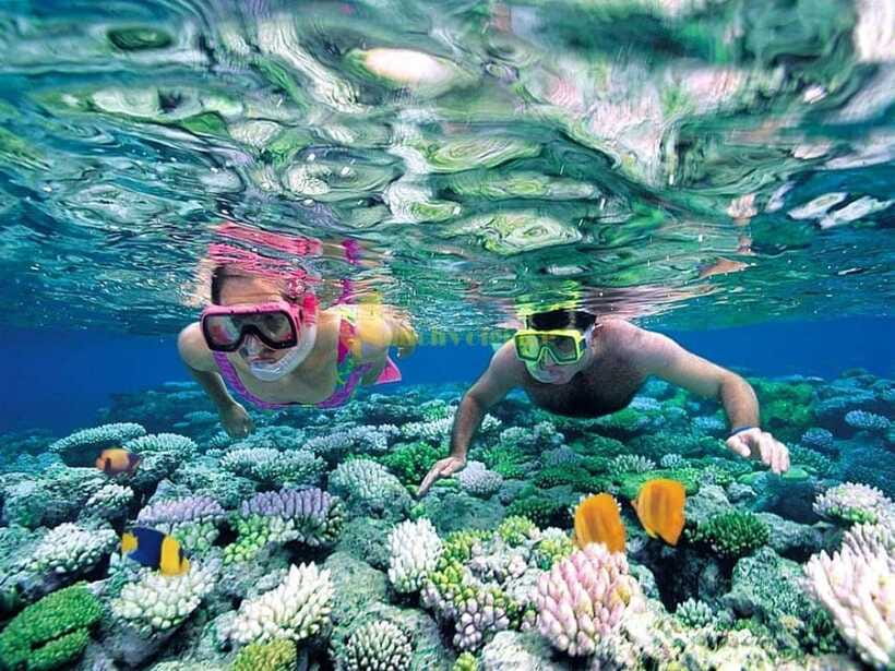 From Nha Trang: 3-Island Deluxe Tour with Lunch - The guide and communication matter