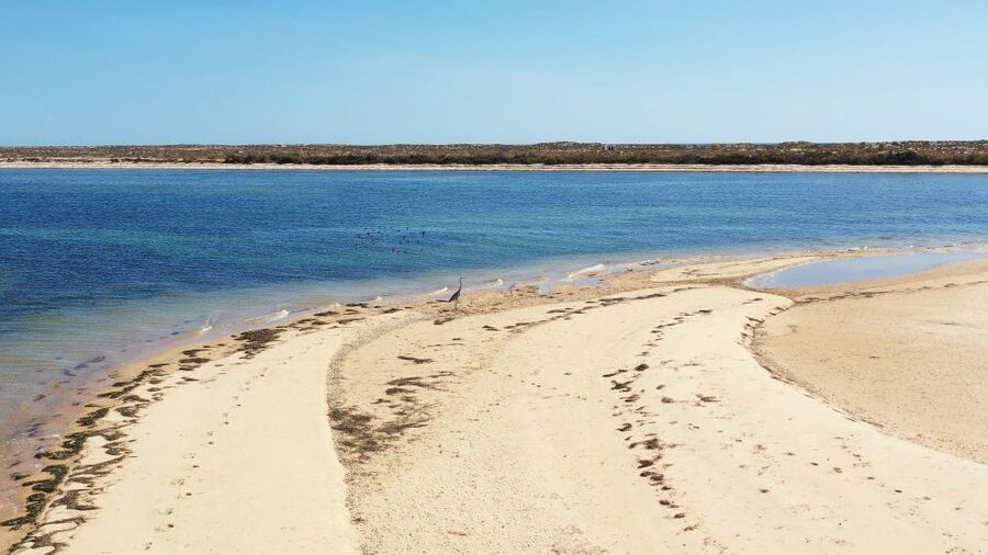 From Olhão: Ria Formosa 3-Island Full-Day Tour - Hangares and the low-tide side of the Ria Formosa