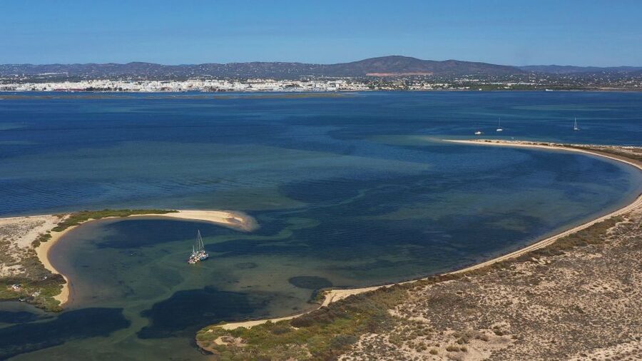 From Olhão: Ria Formosa 3-Island Full-Day Tour - How much time do you really get?