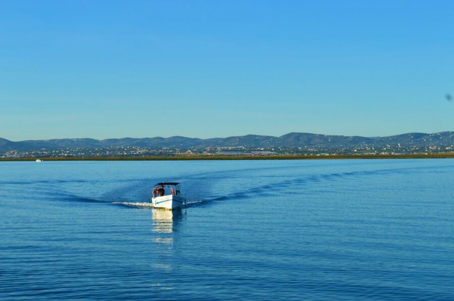 From Olhão: Ria Formosa 3-Island Full-Day Tour with Sunset - Armona or Deserta Beach, depending on the season